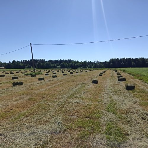 Väikepakid Põllul